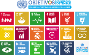 ¿Cómo integrar los 17 Objetivos de Desarrollo Sostenible en el plan de trabajo de mi organización?
